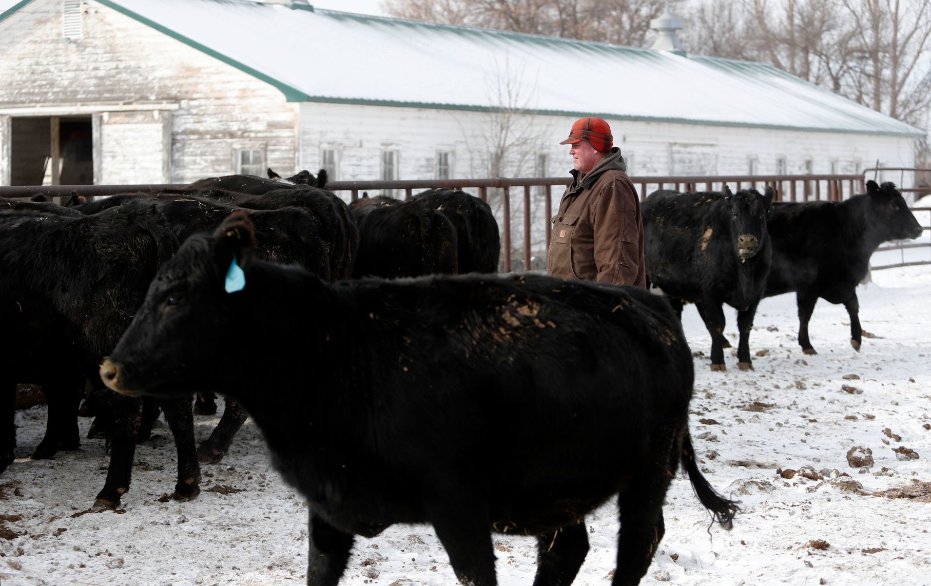 Ballantine rancher Dean Becker